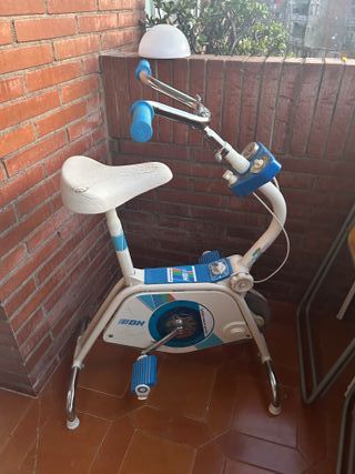 Bicicleta Estática BH Vintage
