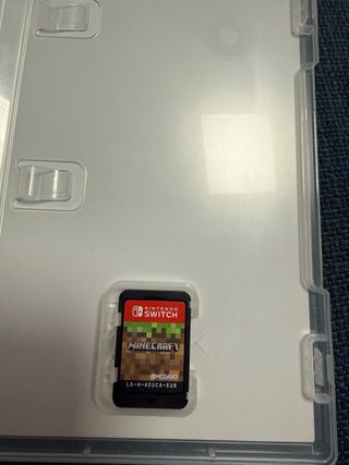 Minecraft Nintendo Switch