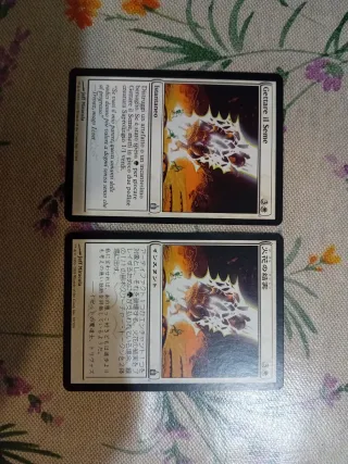 *Magic the Gathering - Gettare il Seme