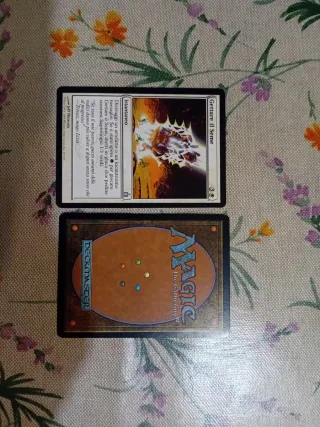 *Magic the Gathering - Gettare il Seme
