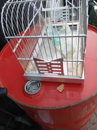 Gabbia argentata per uccelli