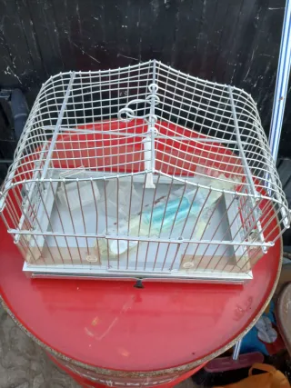 Gabbia argentata per uccelli