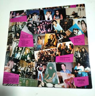 Vinilo Thrasher Burning at Speed of Light Banzai