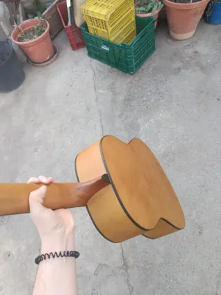 Guitarra Española Clásica