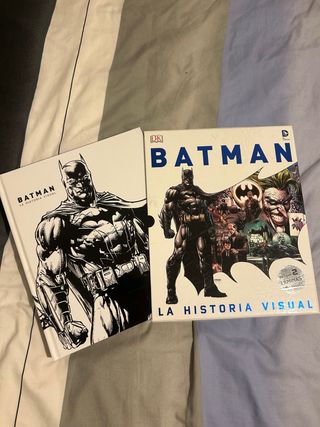 Batman: La historia visual: La historia visual
