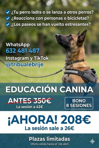 Guía canina