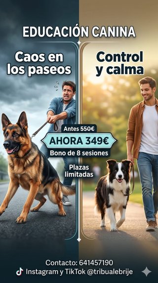 Guía canina