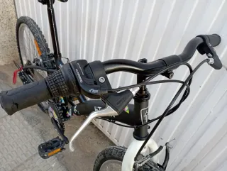 Bicicleta Infantil Btwin Poply 24