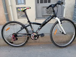 Bicicleta Infantil Btwin Poply 24