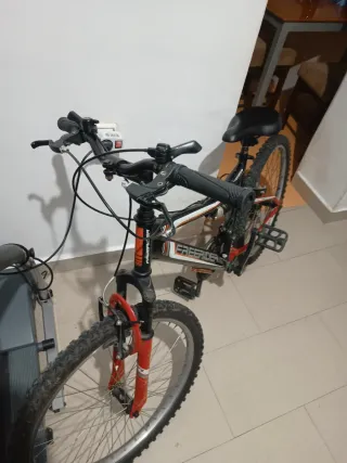 Bicicleta Freerider