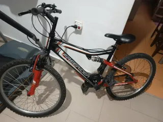 Bicicleta Freerider