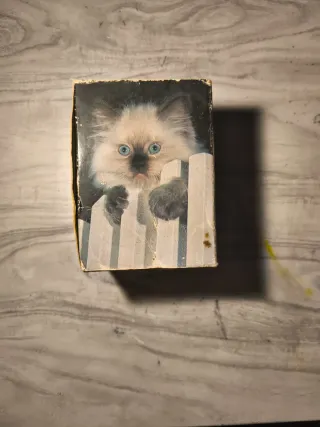 Flash Sunpak GX14 Vintage