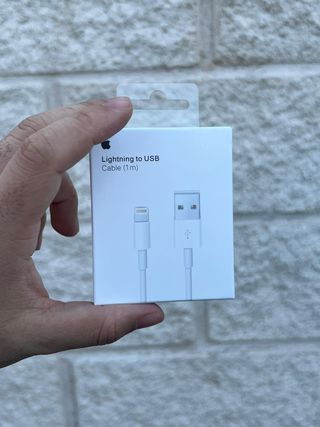 Cable Carga Apple USB-C (1m)