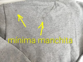 Sudadera gris. Estampado frontal logo de marca.