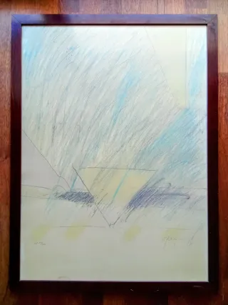 LITOGRAFIA HC NUMERADA Y FIRMADA RAFOLS CASSAMADA