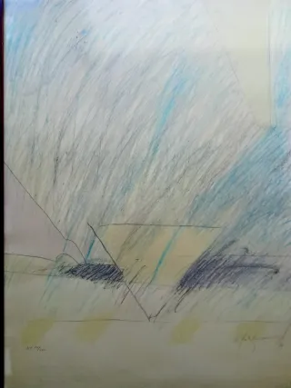 LITOGRAFIA HC NUMERADA Y FIRMADA RAFOLS CASSAMADA