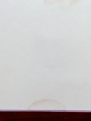 LITOGRAFIA HC NUMERADA Y FIRMADA RAFOLS CASSAMADA