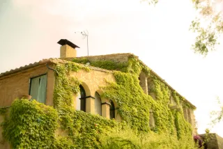 Limpieza de habitaciones