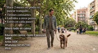 Clases adiestramiento perros