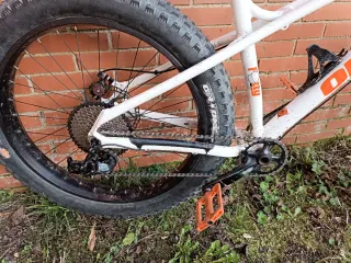 Fat Bike