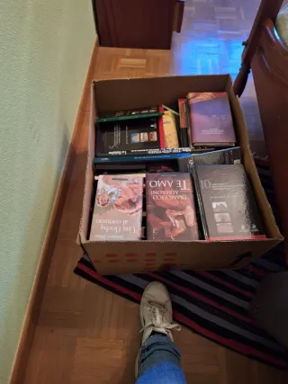 Lote 50+ Libros Románticos Usados