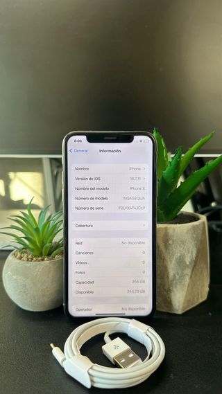 iPhone X 256GB • 100% Batería • Buen estado