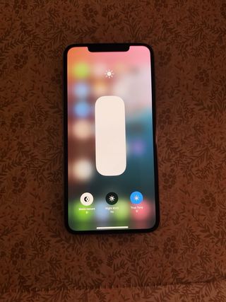 iPhone XS Max 256 GB Argento