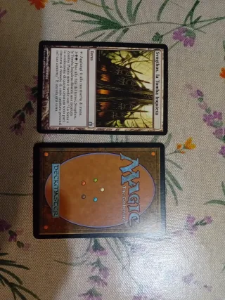 *Svogthos, la Tomba Inquieta - Magic Card