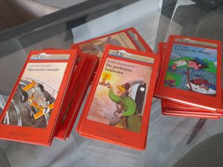 Lote de 16 libros Barco de Vapor