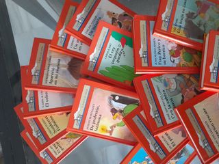 Lote de 16 libros Barco de Vapor