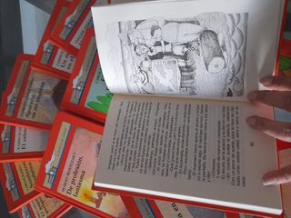 Lote de 16 libros Barco de Vapor