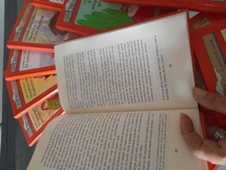 Lote de 16 libros Barco de Vapor