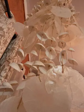 Colgante Decoración Conchas