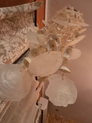 Colgante Decoración Conchas