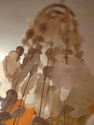 Colgante Decoración Conchas