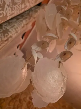 Colgante Decoración Conchas