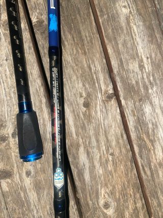 Cañas de pescar spinning