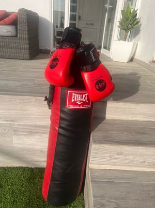 Saco Boxeo Everlast 30kg + Guantes 10oz