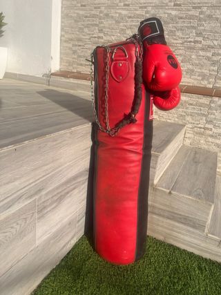 Saco Boxeo Everlast 30kg + Guantes 10oz