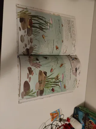 El gran libro de los bichos (Spanish Edition)