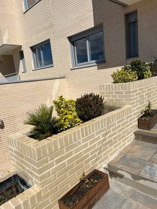 Palet Ladrillo Visto Crema 530 ud La Paloma