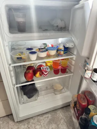 Nevera pequeña con congelador EAS ELECTRIC