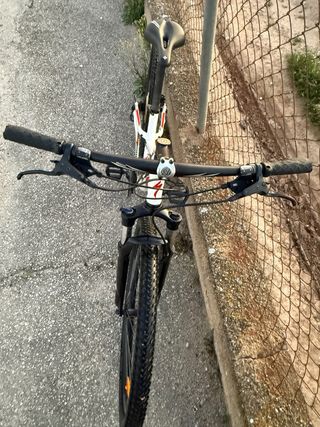 Bicicleta Specialized 29 MTB talla M