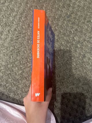 Antes de diciembre (edición revisada por la aut...