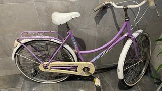 Bicicleta Morada Clásica