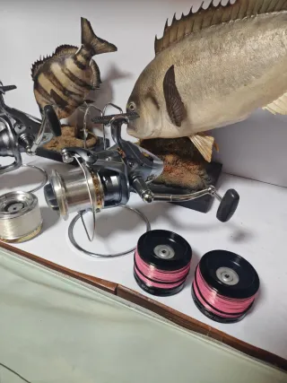 SHIMANO ULTEGRA CI4 XSA