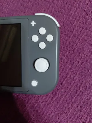 Nintendo Switch Lite Gris