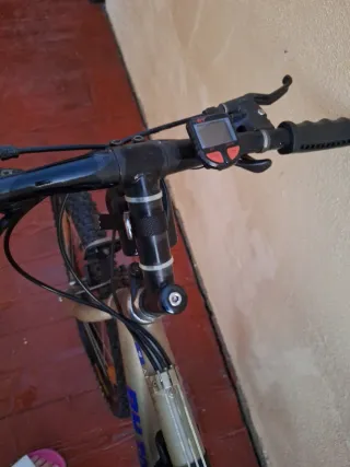 Bicicleta Jerez
