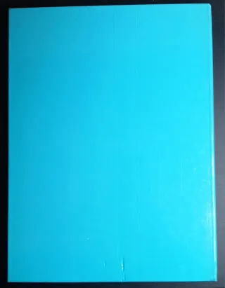 1943 L'Anno Che Cambiò l'Italia