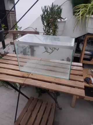 Pecera o terrario de cristal